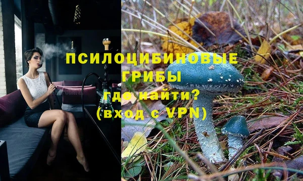 тгк Абдулино