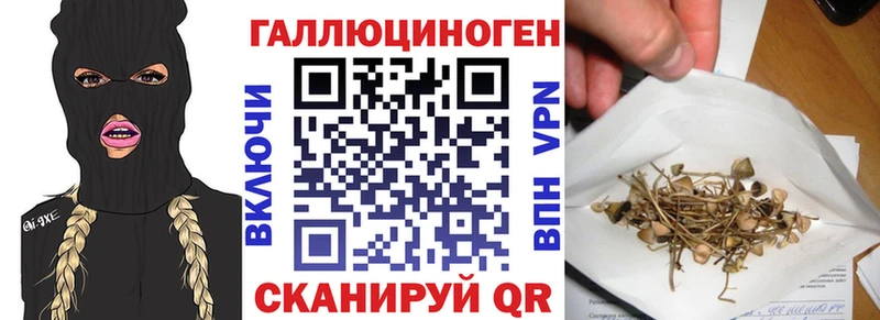 купить наркотик  Шенкурск  Галлюциногенные грибы Psilocybine cubensis 