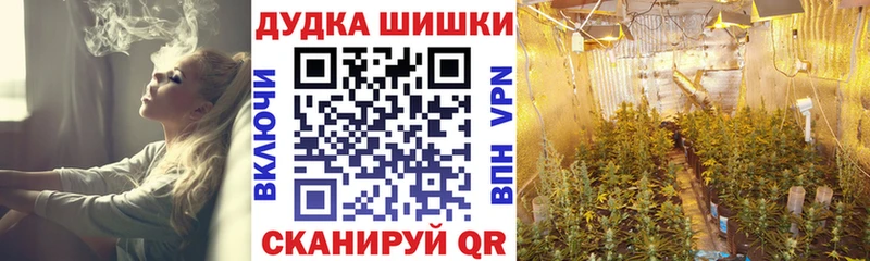 как найти закладки  Шенкурск  МАРИХУАНА VHQ 